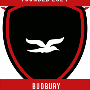 Budbury FC